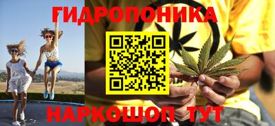 ECSTASY Бийск