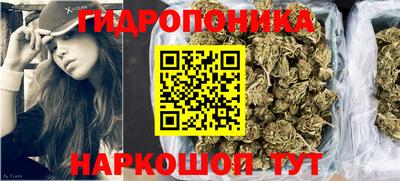 мдпв Кингисепп