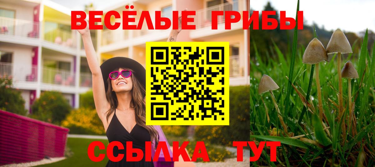Псилоцибиновые грибы Cubensis Карпинск
