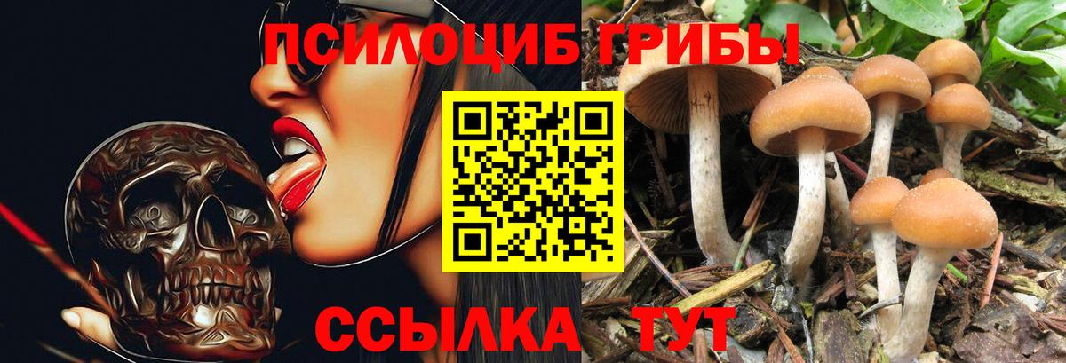 Галлюциногенные грибы GOLDEN TEACHER  Вход с VPN  Псилоцибиновые грибы прущие грибы  Карпинск 